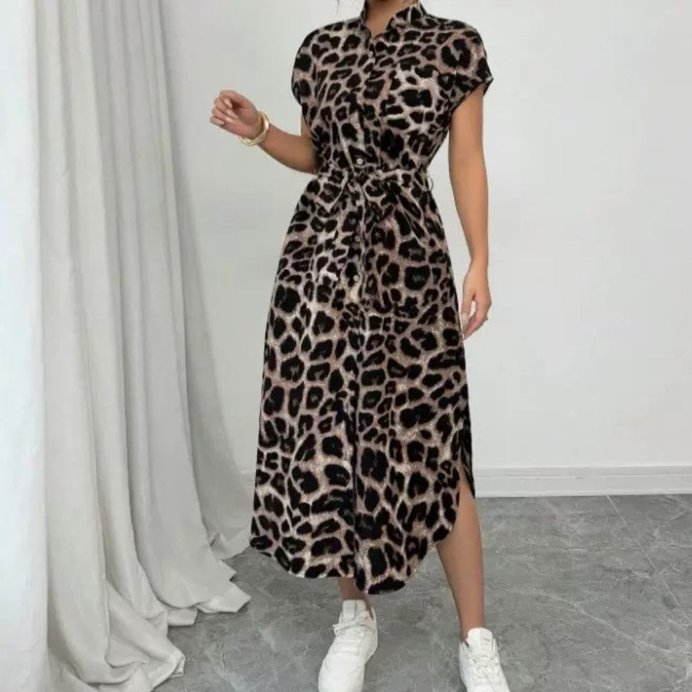 Short Sleeve Dresses