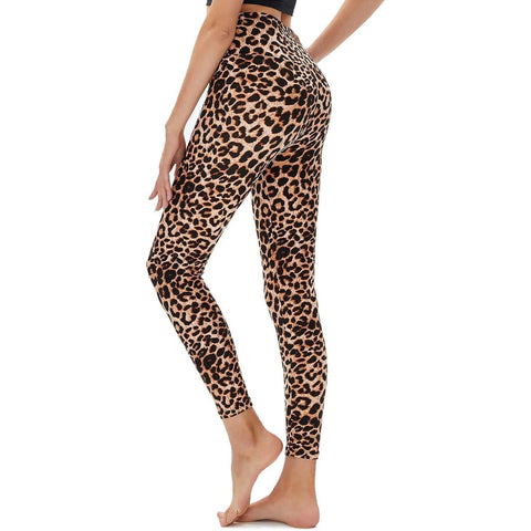 High Waisted Leggings for Women -Reg & Plus